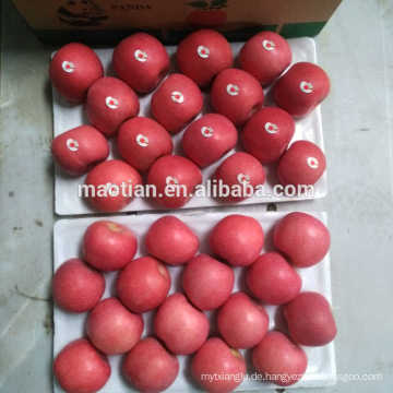 Frisches rotes Fuji Apple Fruit